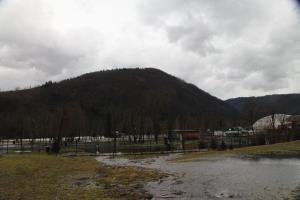 Danica (avtor fotografije Stane Klemenc)